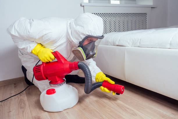 Best Pest Removal Services  in Dekal, IL