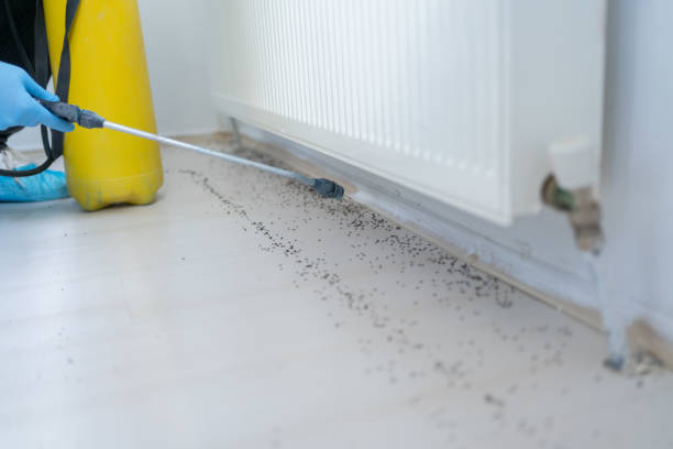 Best Cockroach Control Services  in Dekal, IL