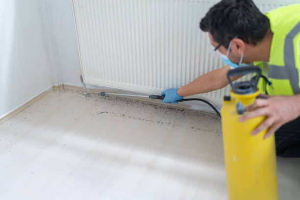 Best Best Pest Control Near Me  in Dekal, IL